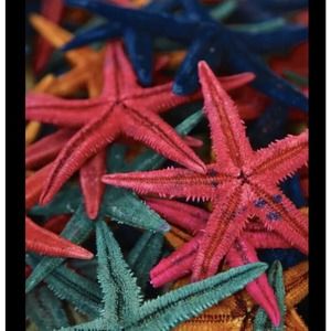 100 Colorful Natural‎ Starfish Mini Crafts Wedding Decorations Micro Landscape